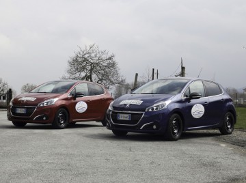 Le nostre auto